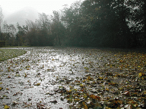 herfststorm