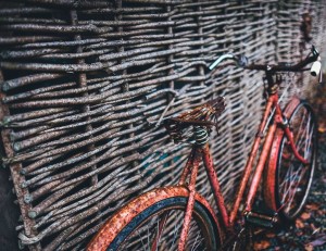 2015-12-Life-of-Pix-free-stock-photos-bike-old-wood-barrier-AnnieSpratt