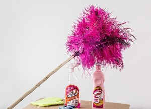 feather-duster-709124_640