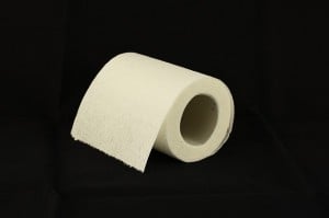 toilet-paper-1338433_640