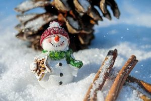 snow-man-1882635_640